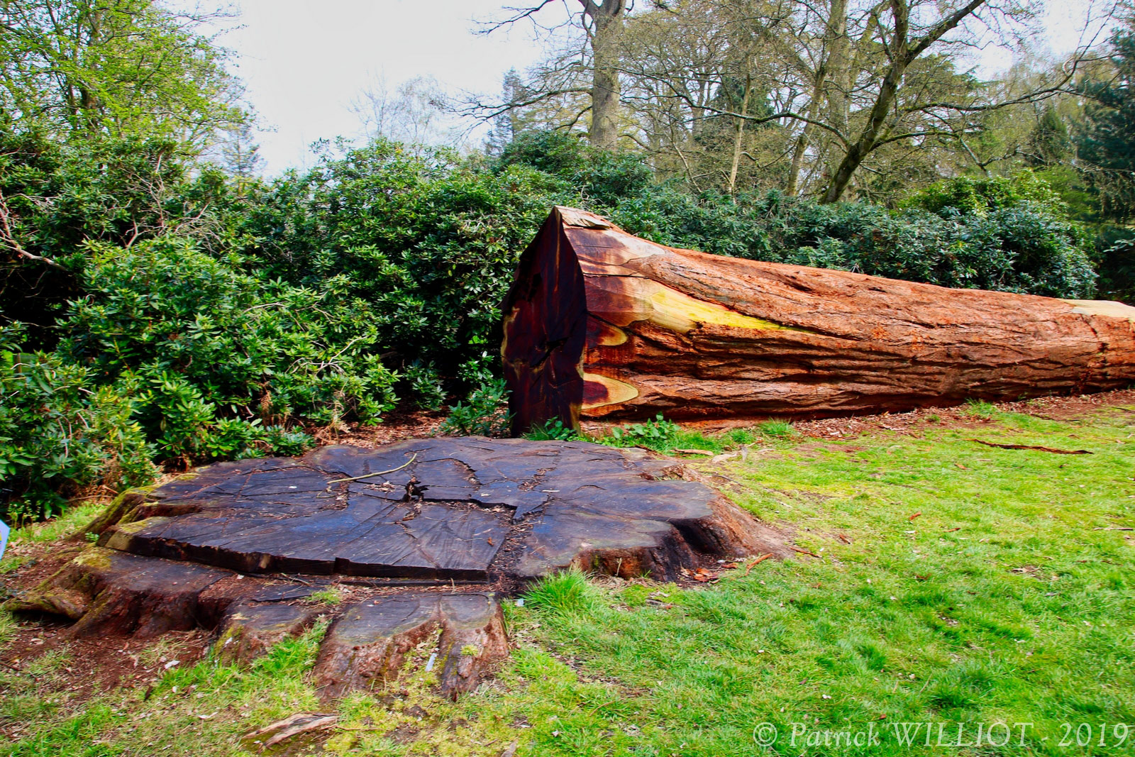 Harcourt Arboretum - Oxford University